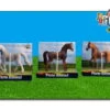 Paard Assorti Kidsglobe Schaal 1 : 32 2 Paard Assorti Kidsglobe Schaal 1 : 32 -Overdekte Speelgoeds Winkel paard kidsglobe 571827