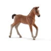 Schleich 13818 Hannover Veulen HorseClub -Overdekte Speelgoeds Winkel schleich 13818 hannover veulen