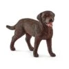 Schleich 13834 Labrador Retriever Teef 2 Schleich 13834 Labrador Retriever Teef -Overdekte Speelgoeds Winkel schleich 13834 labrador retriever teefje