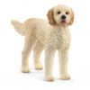 Schleich 13939 Goldendoodle Hond FarmWorld 2 Schleich 13939 Goldendoodle Hond FarmWorld -Overdekte Speelgoeds Winkel schleich 13939 goldendoodle