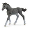 Schleich 13944 Trakhener Veulen HorseClub -Overdekte Speelgoeds Winkel schleich 13944 trakehner veulen
