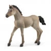Schleich 13949 Criollo Definitivo Veulen HorseClub -Overdekte Speelgoeds Winkel schleich 13949 criollo definitivo foal