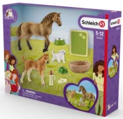 Schleich 42432 Babydieren Verzorgingsset Horse Club 7 Schleich 42432 Babydieren Verzorgingsset Horse Club -Overdekte Speelgoeds Winkel schleich 42432 babydieren verzorgingsset 1 1