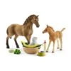 Schleich 42432 Babydieren Verzorgingsset Horse Club